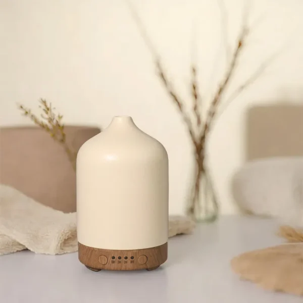 aroma source diffuser