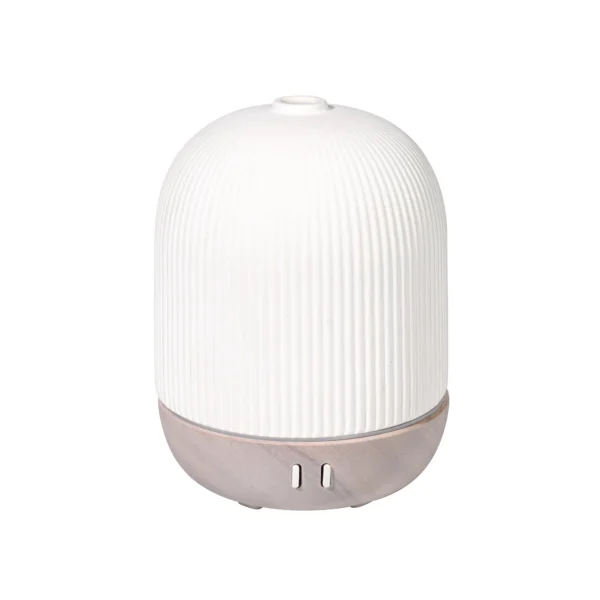 portable diffuser young living