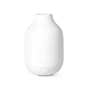 rechargeable diffuser